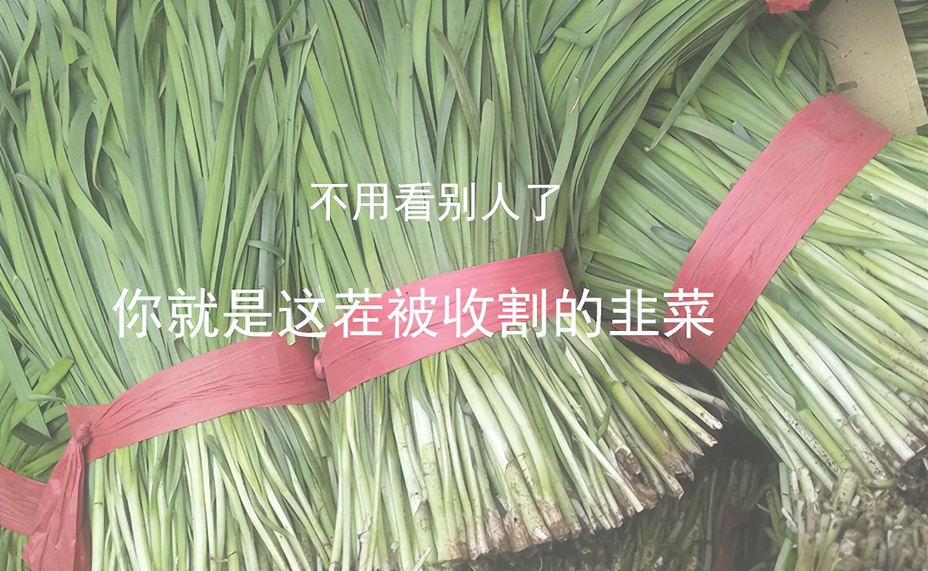 为什么那么多人在网上教人赚钱,为什么网上有那么多教人赚钱的人