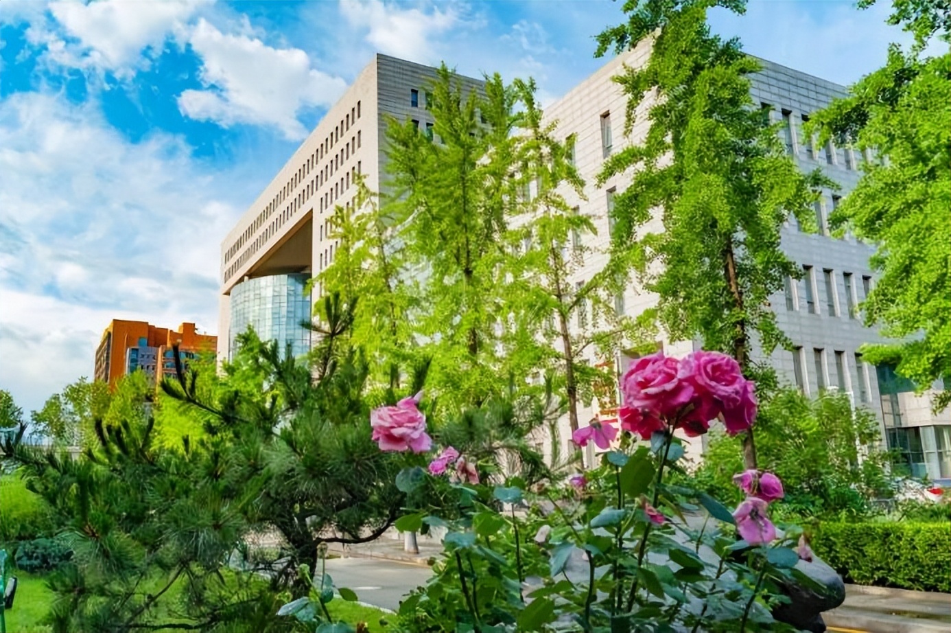 学校可以开设哪些小语种,哪些大学招收小语种