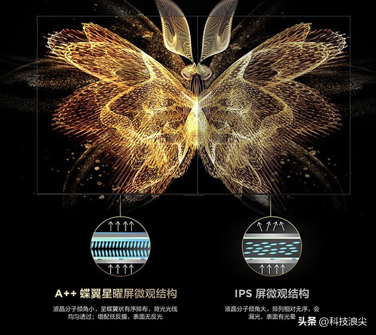 tclq10h浠嬬粛瑙嗛,tclq10g瑙傚奖鏁堟灉