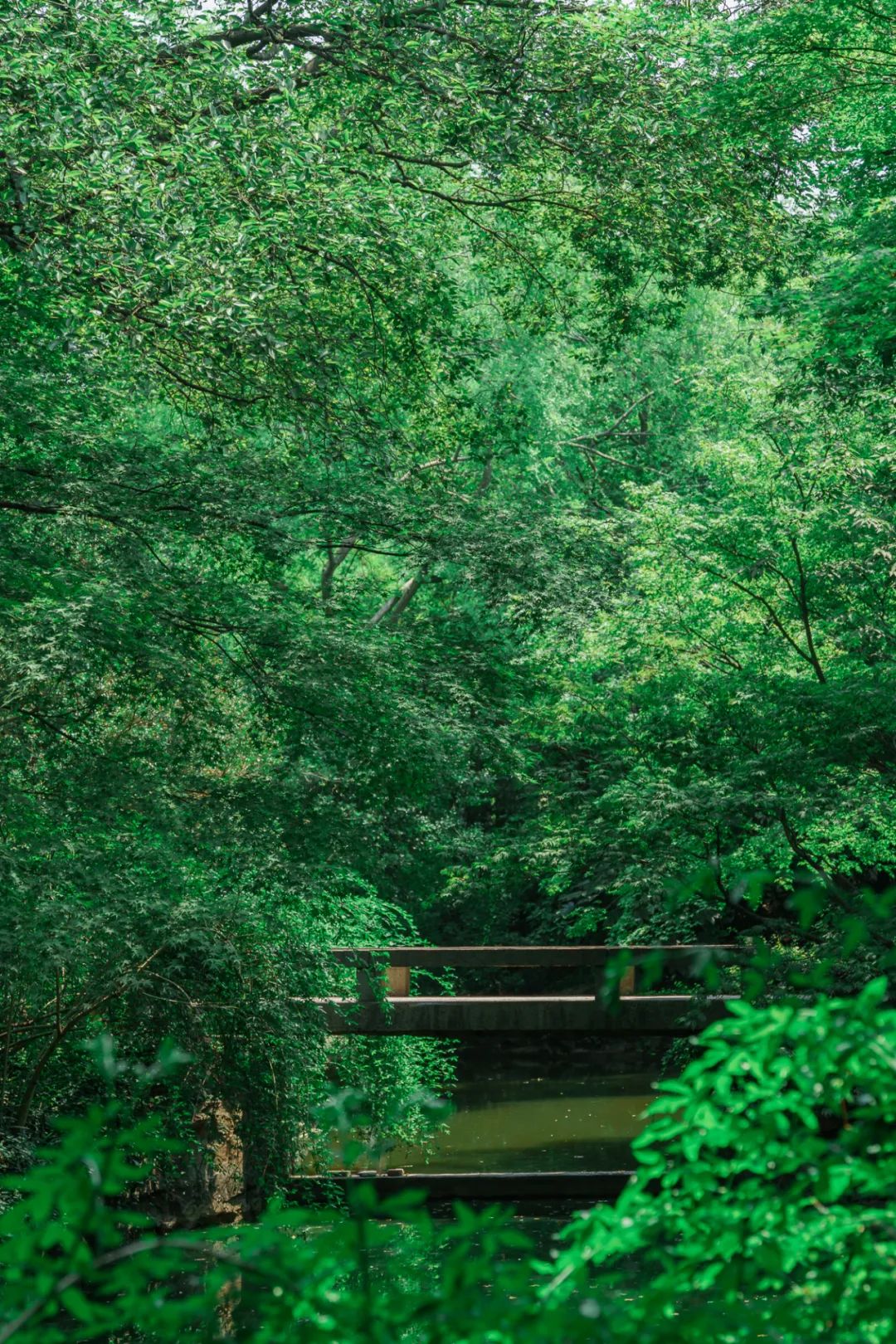 520年一遇，2022上海最浪漫打卡地出炉