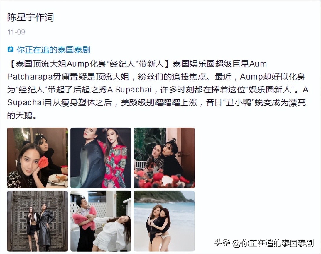 泰国人评论陈星宇,泰国评论陈星宇