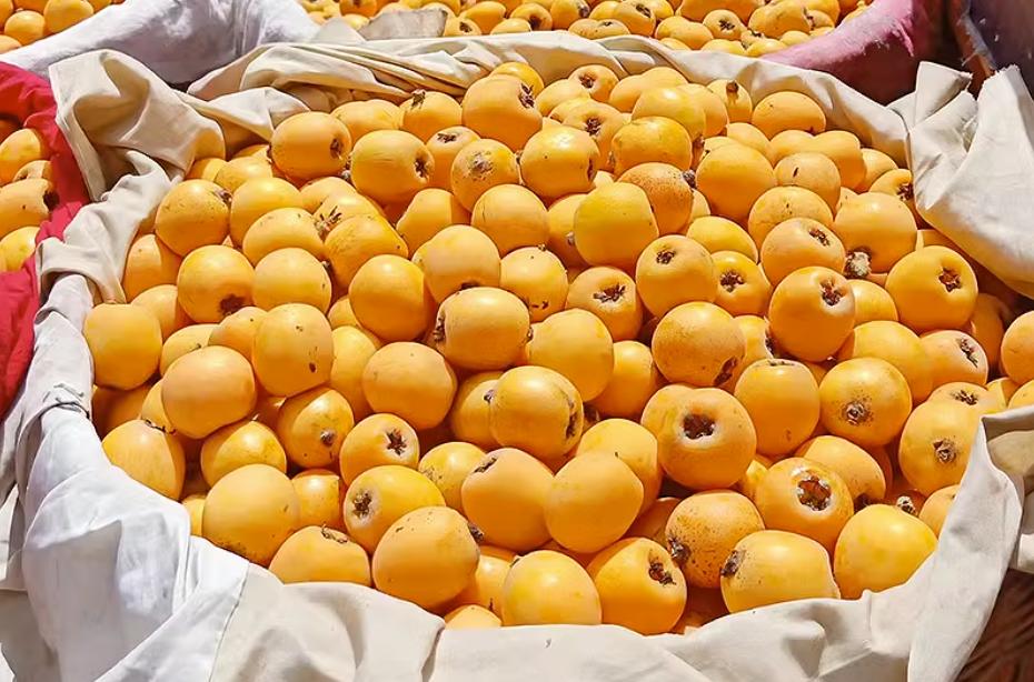 4月份适合吃的应季水果,夏季6月应季水果有哪些