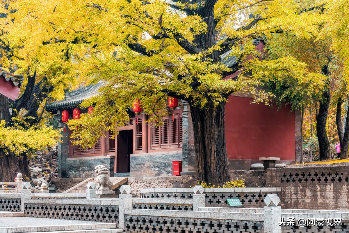 “不怕有蛇进宅院，就怕大树房前站”，大树为何不能在房前？