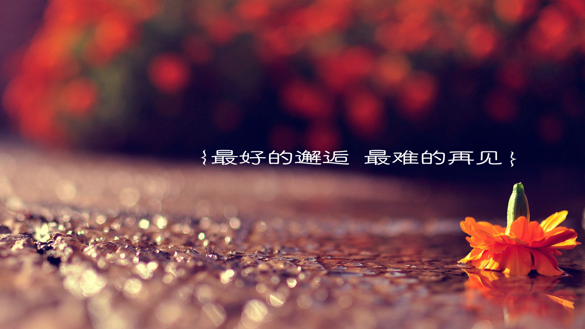 喜欢一个人是一种什么感觉啊,喜欢一个人是一种什么感觉