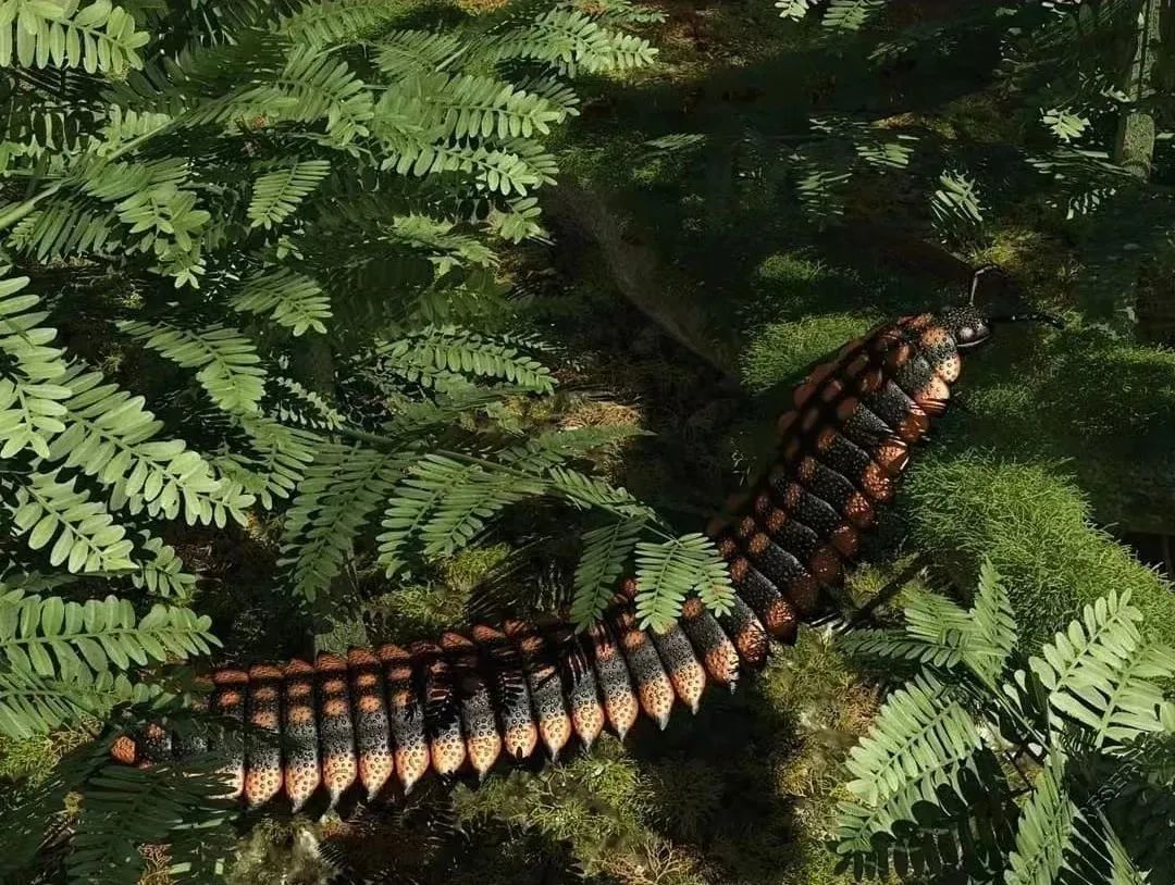 地球简史书籍完整版,地球简史46亿年的奇迹