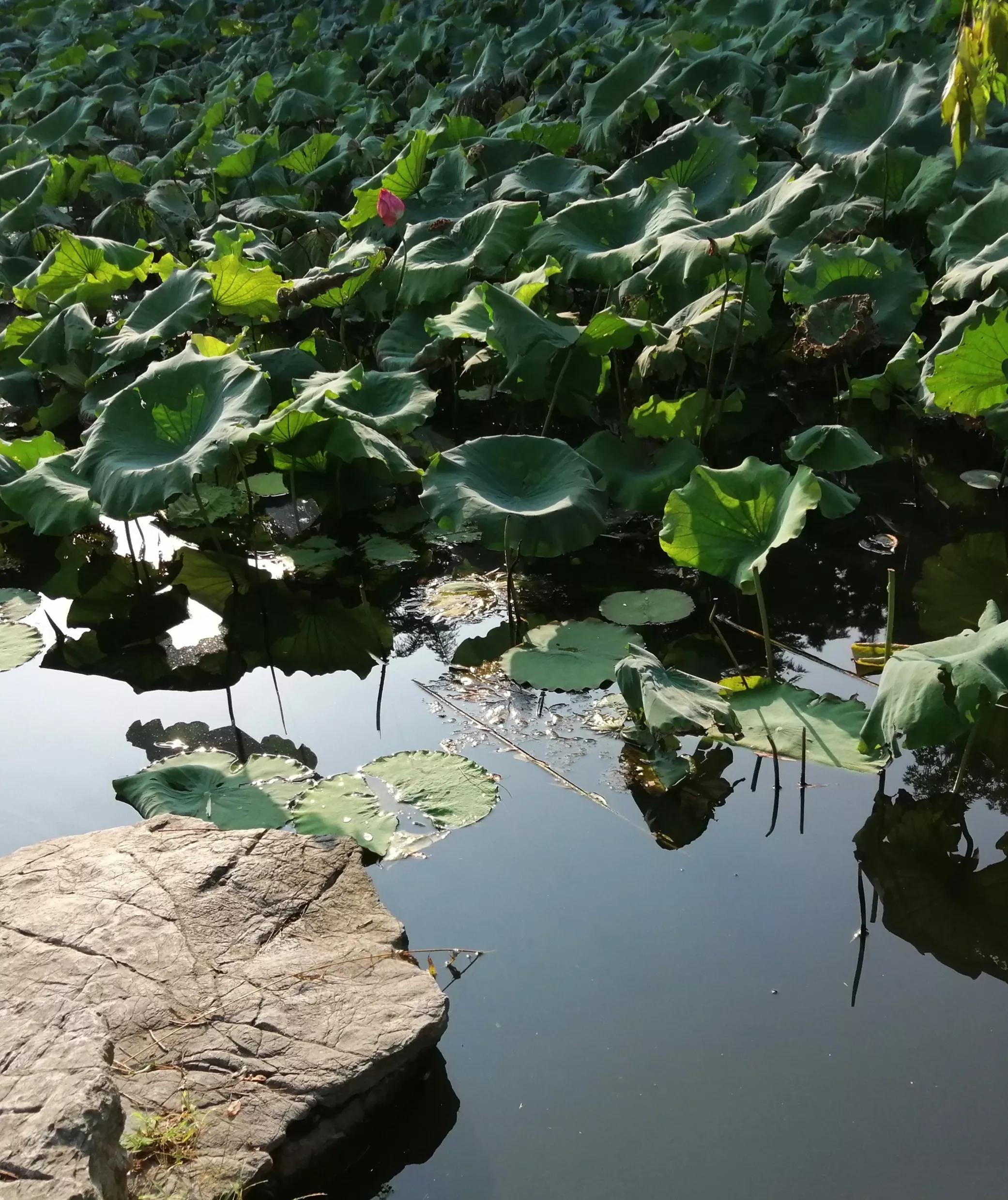 东园好玩的景点推荐,东园旅游景点推荐