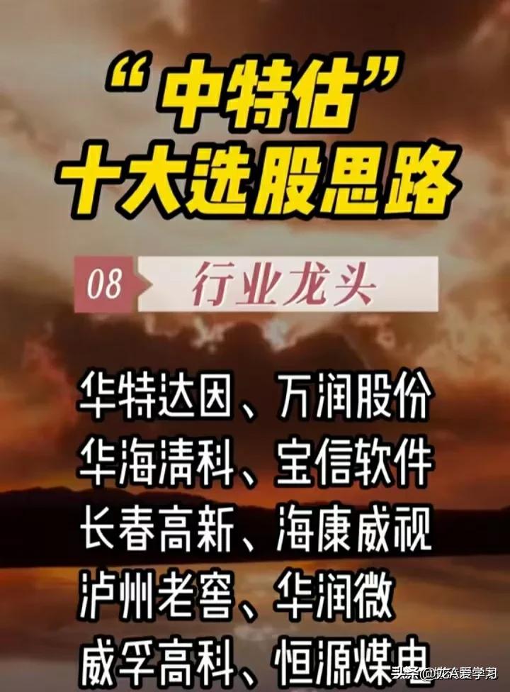中特股八大思路,中特股龙头股一览表