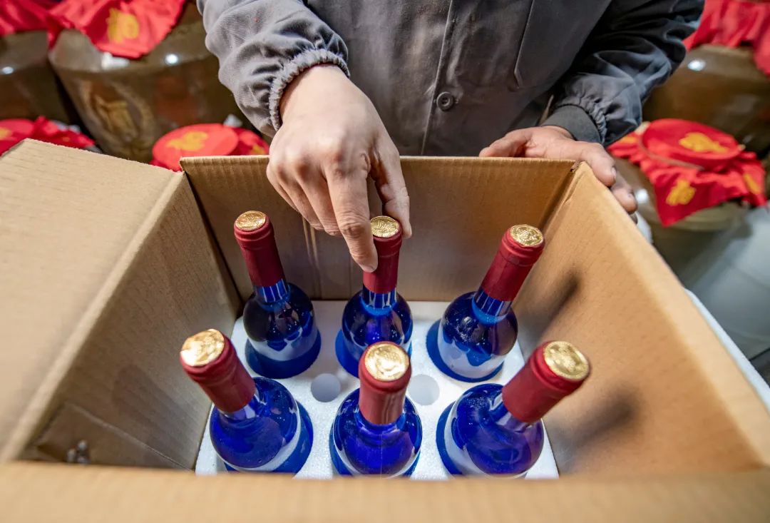 乡村振兴汶川县,我眼中的乡村振兴创业青年