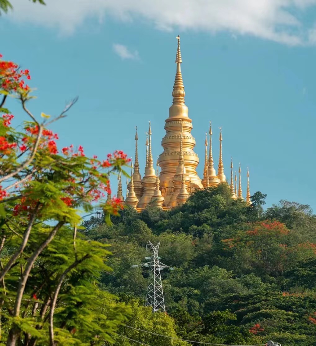 去版纳要注意踩的坑,去版纳怎么避坑