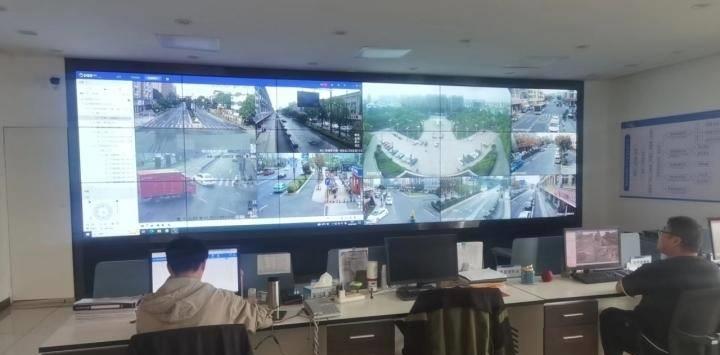 魅力绽放，靖江枫景惊艳你