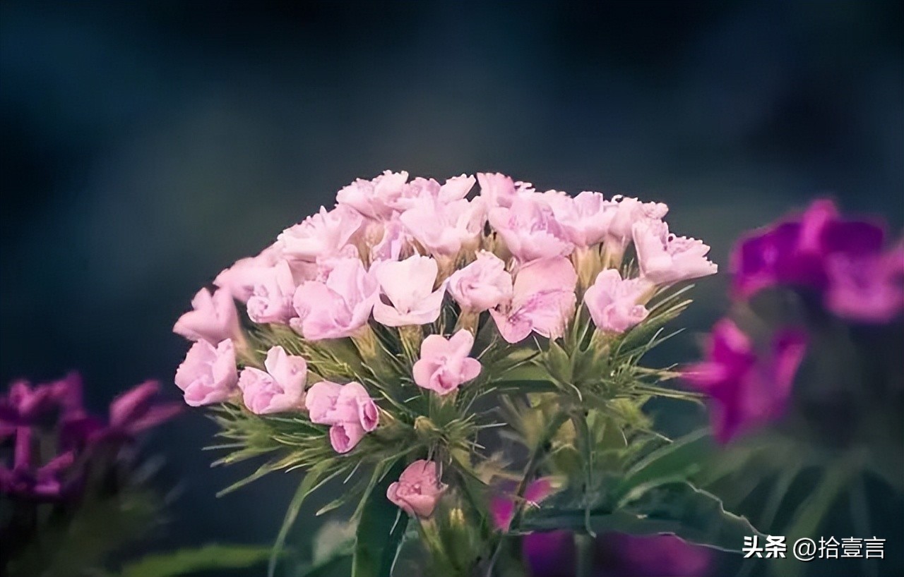 被人算计后，最聪明的做法，不是打击报复，而是这么做