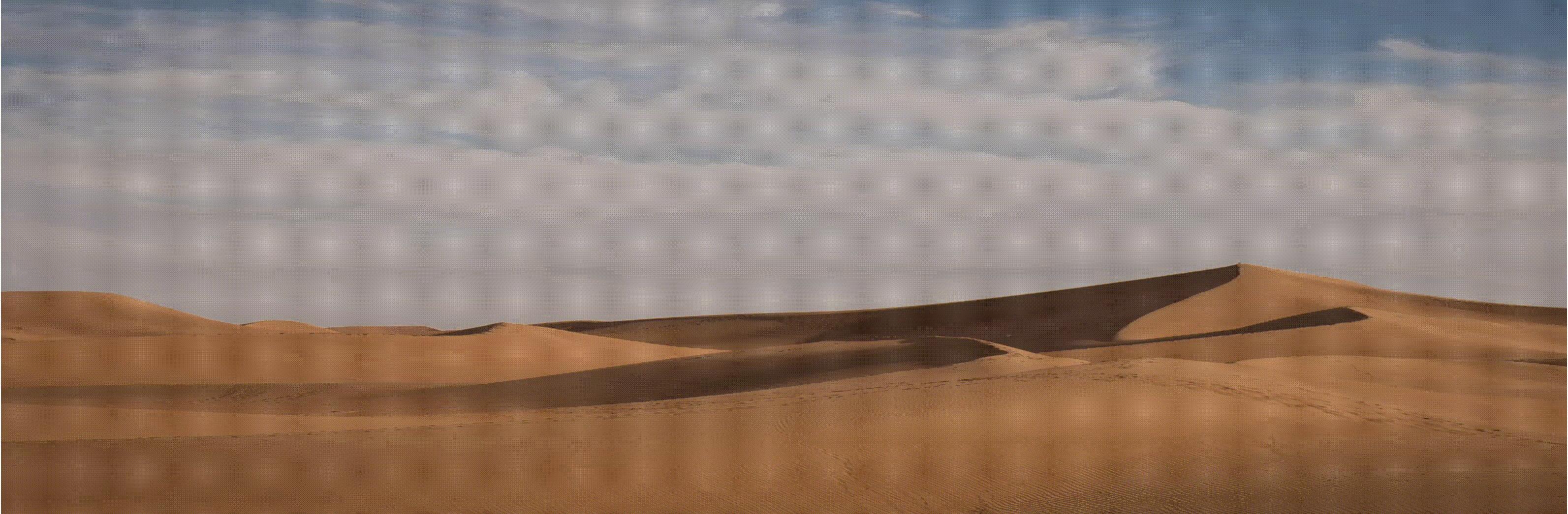 电子商务发展前景和行业趋势,电子商务就业方向及前景
