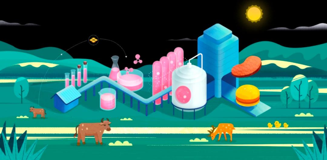 第一块细胞人造肉,人造细胞肉进展