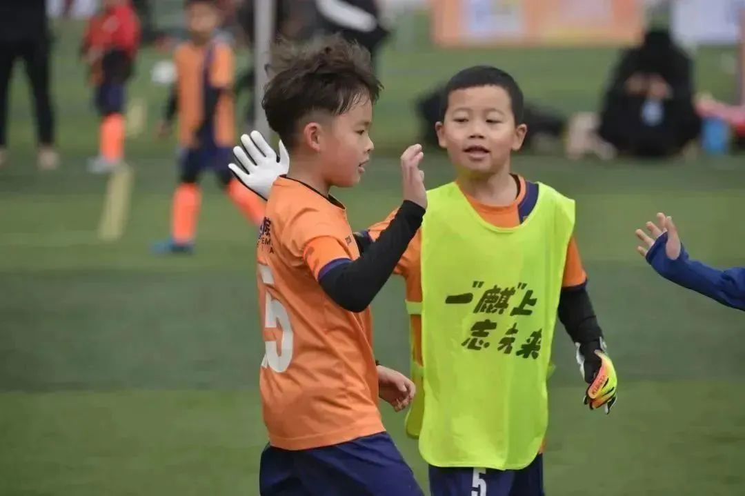 绿茵小将比赛视频,绿茵小将