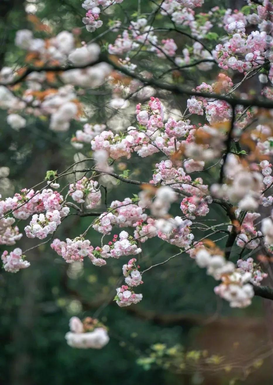 激励人拼搏奋斗的一段话,一句经典的话激励人生