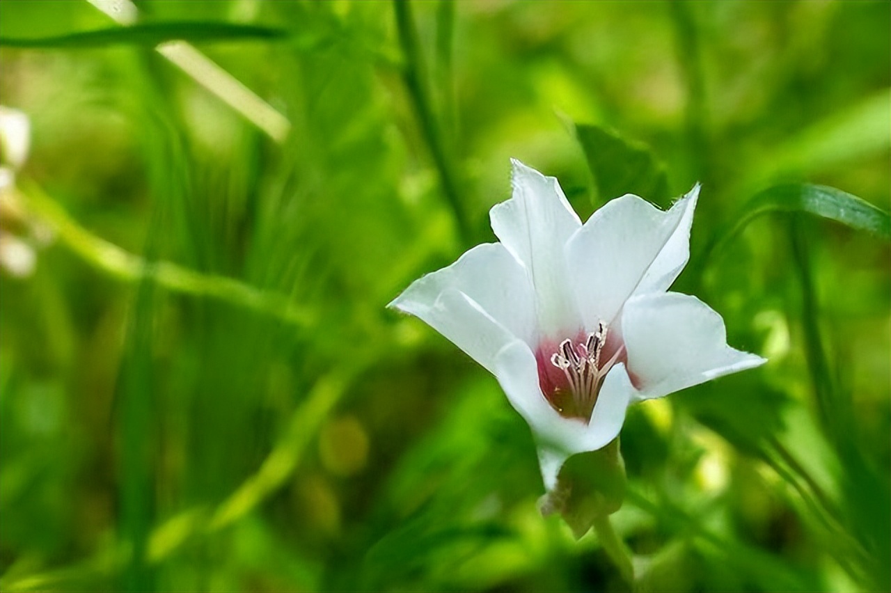 女人不自爱的底层逻辑,女人不自尊自爱的原因