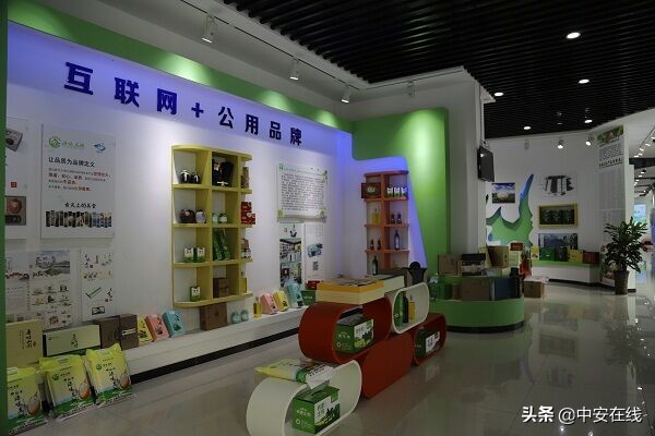 太湖县电商龙头企业,安徽太湖电商