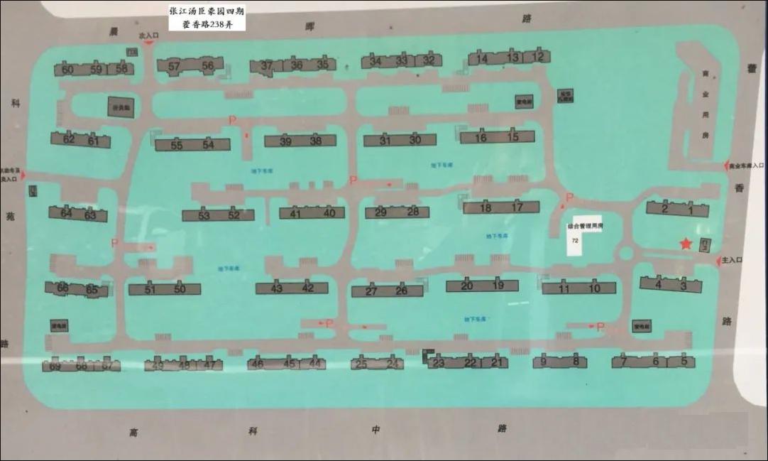 张江汤臣豪园三期两室,出租张江汤臣豪园三期大平层