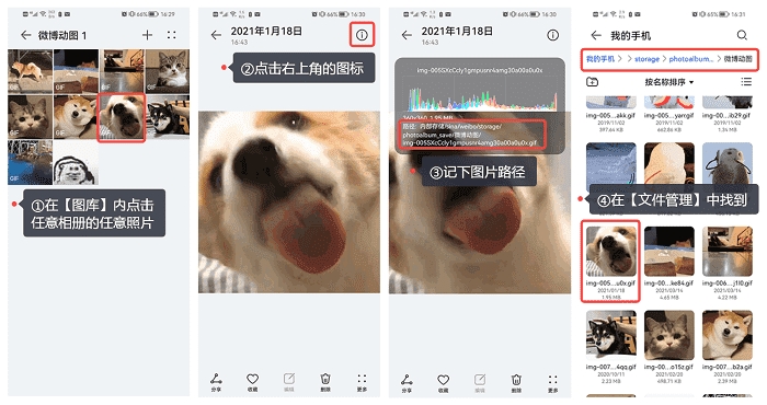 手机相册文件夹在哪里找,手机相册在手机什么文件夹