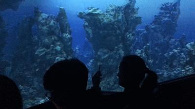 瑞贝卡水世界国庆,瑞贝卡水世界春节