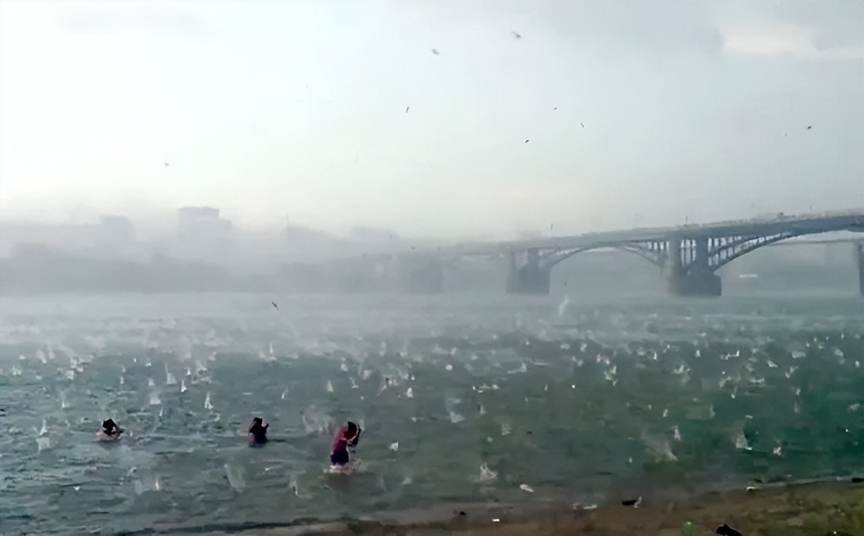 印尼球迷冲突,印尼一足球场爆发球迷暴力冲突