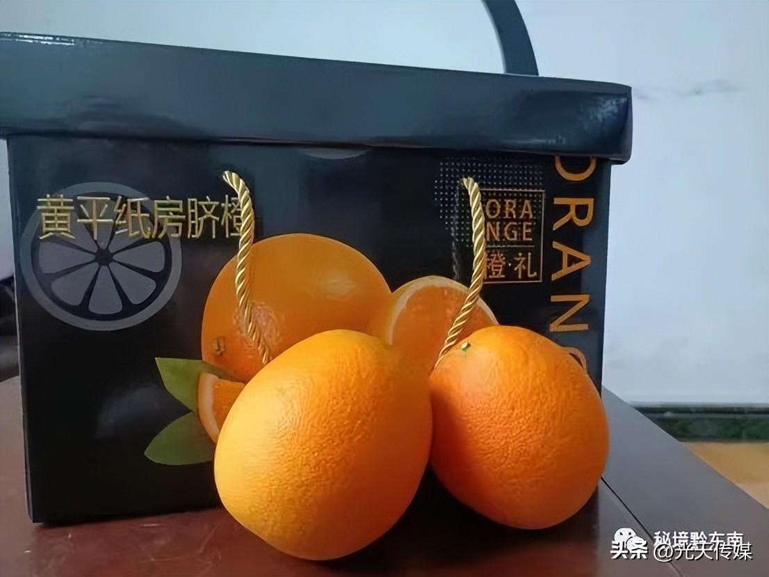 黄平县乡村振兴,黄平县纸房乡各村