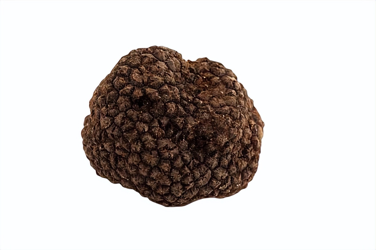 菌中贵族,投入一万赚了两万实际赚多少