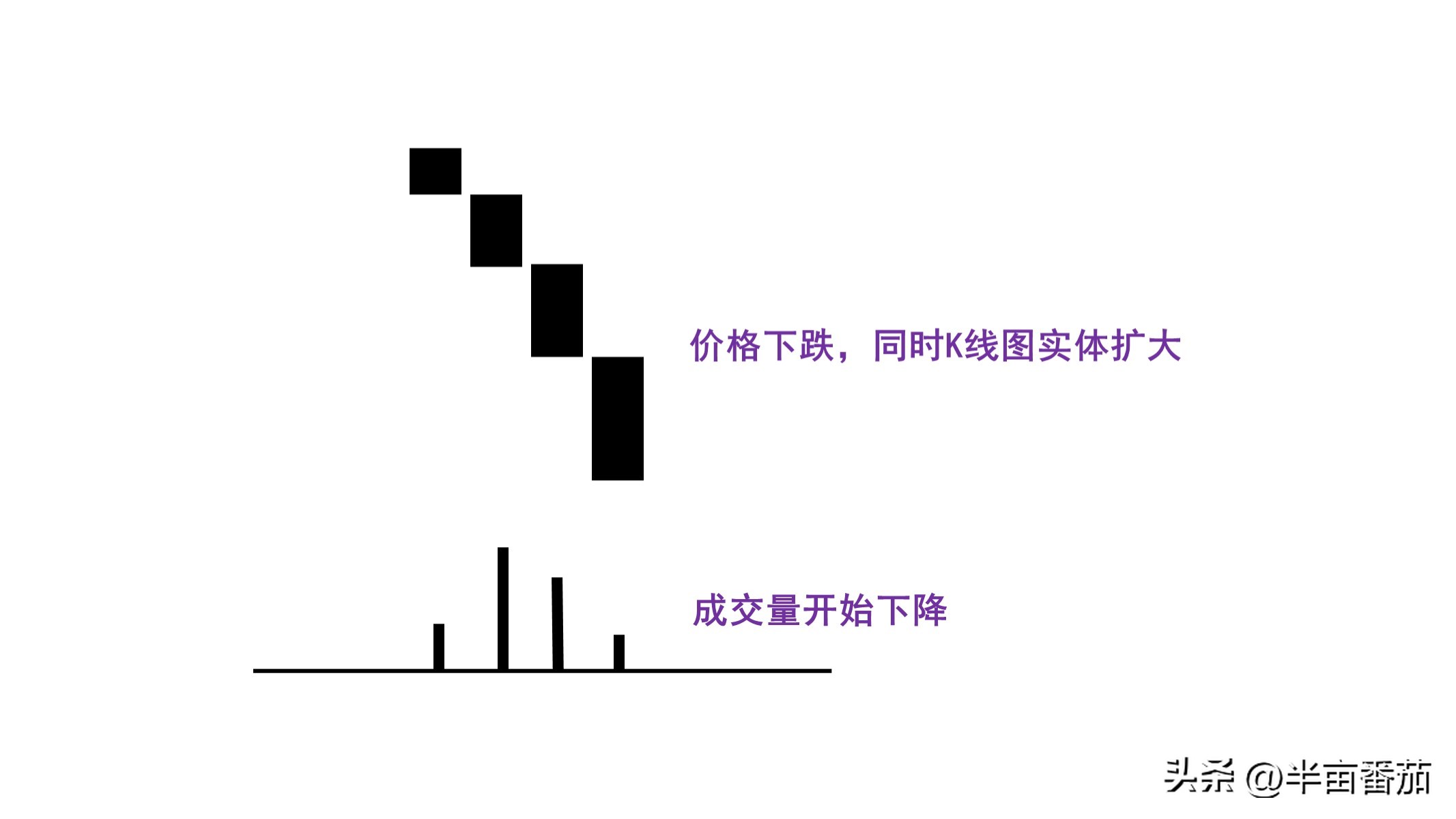 阅读量分析的几个方面,阅读量整体数据