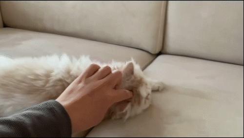 离婚女人买了个30平米房子,32岁靠自己买车买房