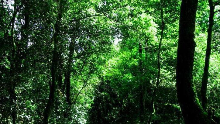 *光春**轻轻地锁住了我和你