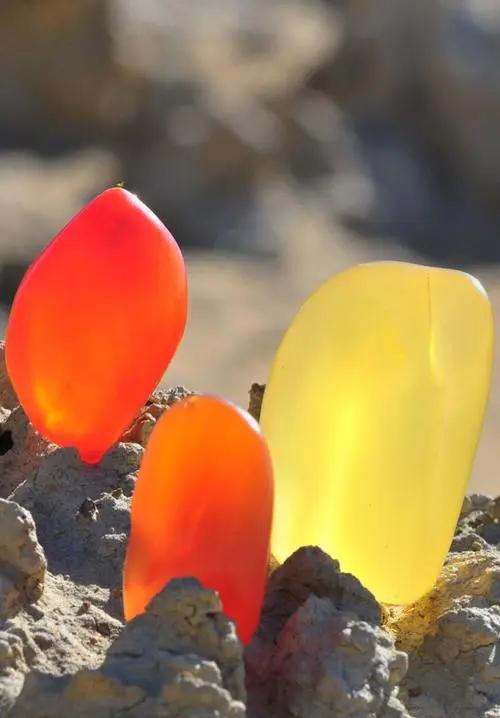 戈壁滩上的什么石头最值得收藏,戈壁滩黑色带蜂窝石头是什么石