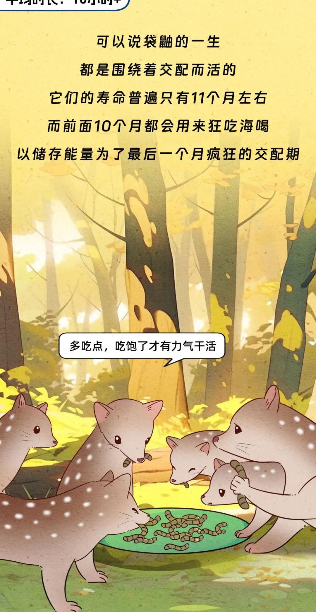 动物交配行为鉴赏，真的触碰到了我的知识盲区（漫画）