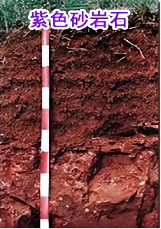 97年赖茅酒庆香港回归特制2斤,97香港回归版赖茅酒