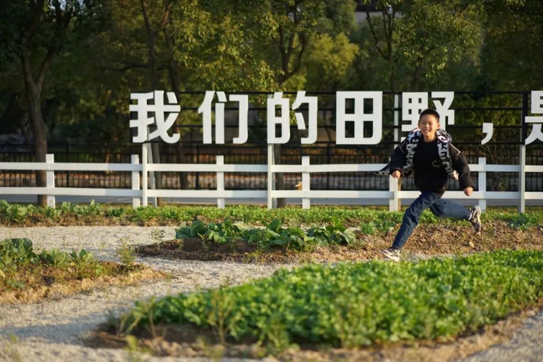 鼓浪屿可以当天预订船票攻略 (鼓浪屿还有免费的船票吗)
