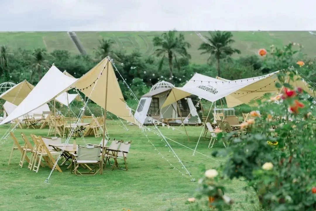 微度假|最美绿水青山线路！被深圳这片乡野田园治愈了