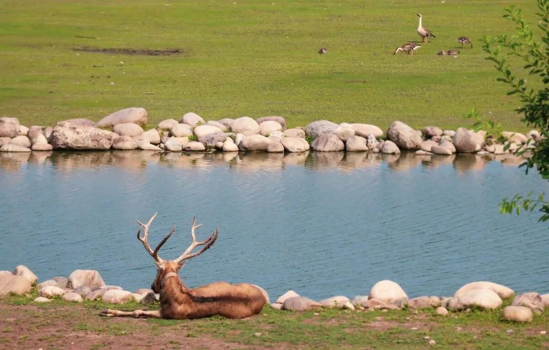 北京必打卡亲子博物馆,北京必打卡的历史建筑