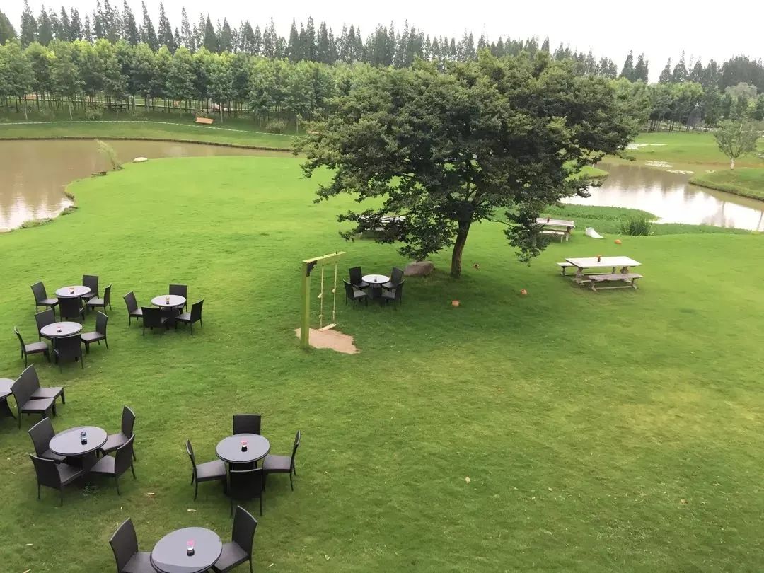 20亩果园盈利模式,农场果园10大盈利模式