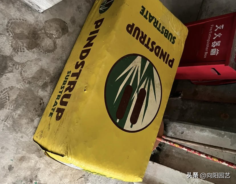 进口泥炭土哪个好,进口十大泥炭土排行