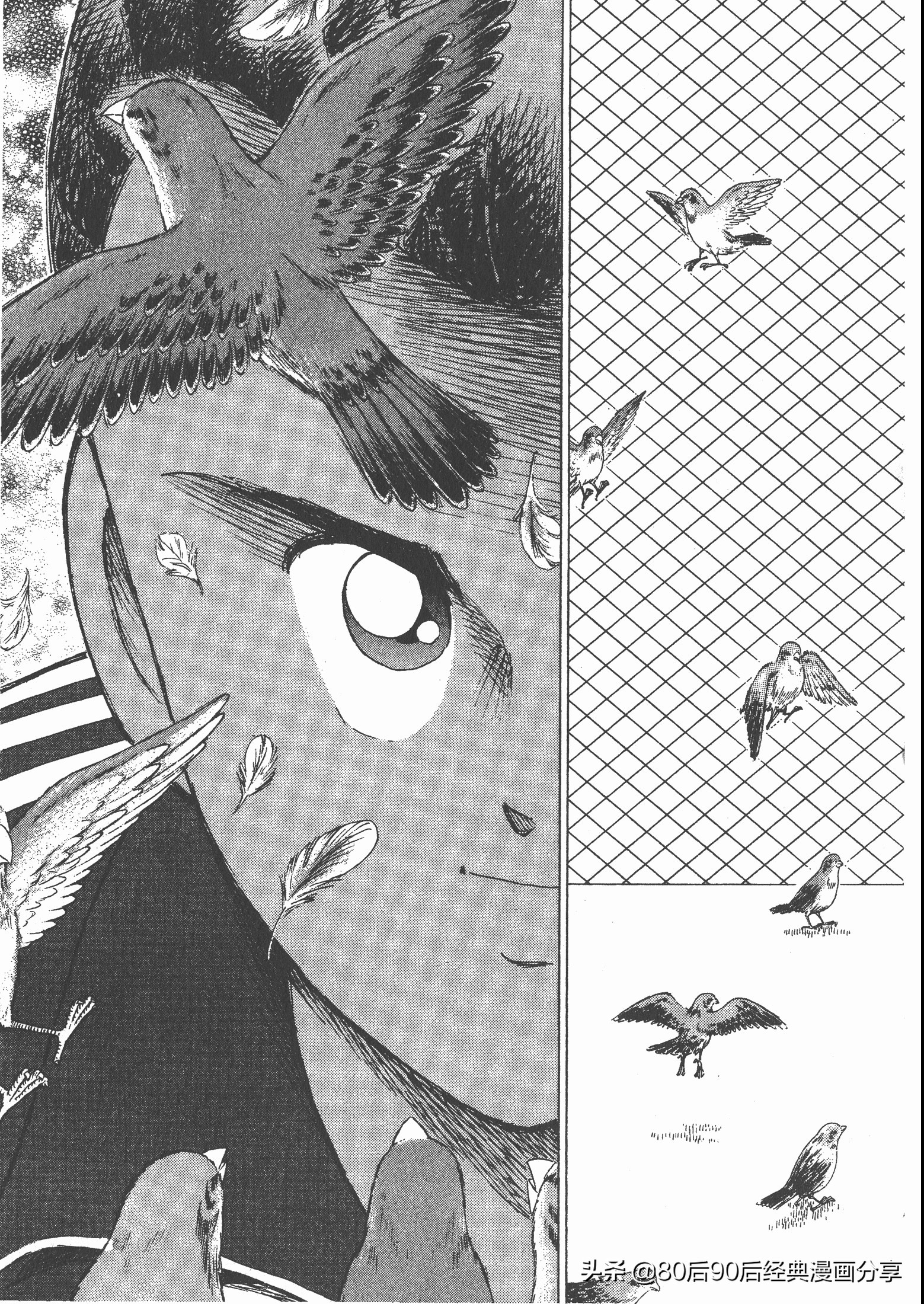 足球小将roadto2002漫画,足球小将roadto2002在线观看