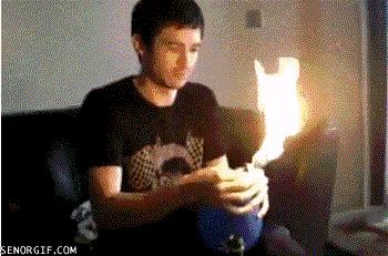 真实大象图片大全可爱,真实野生大象图片