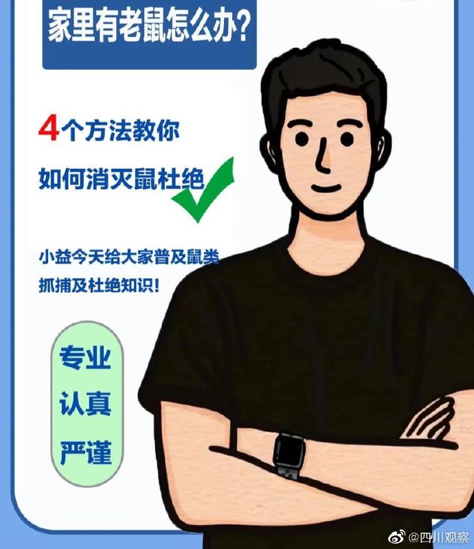 对付家里老鼠的最好办法,什么办法抓家里老鼠最有效