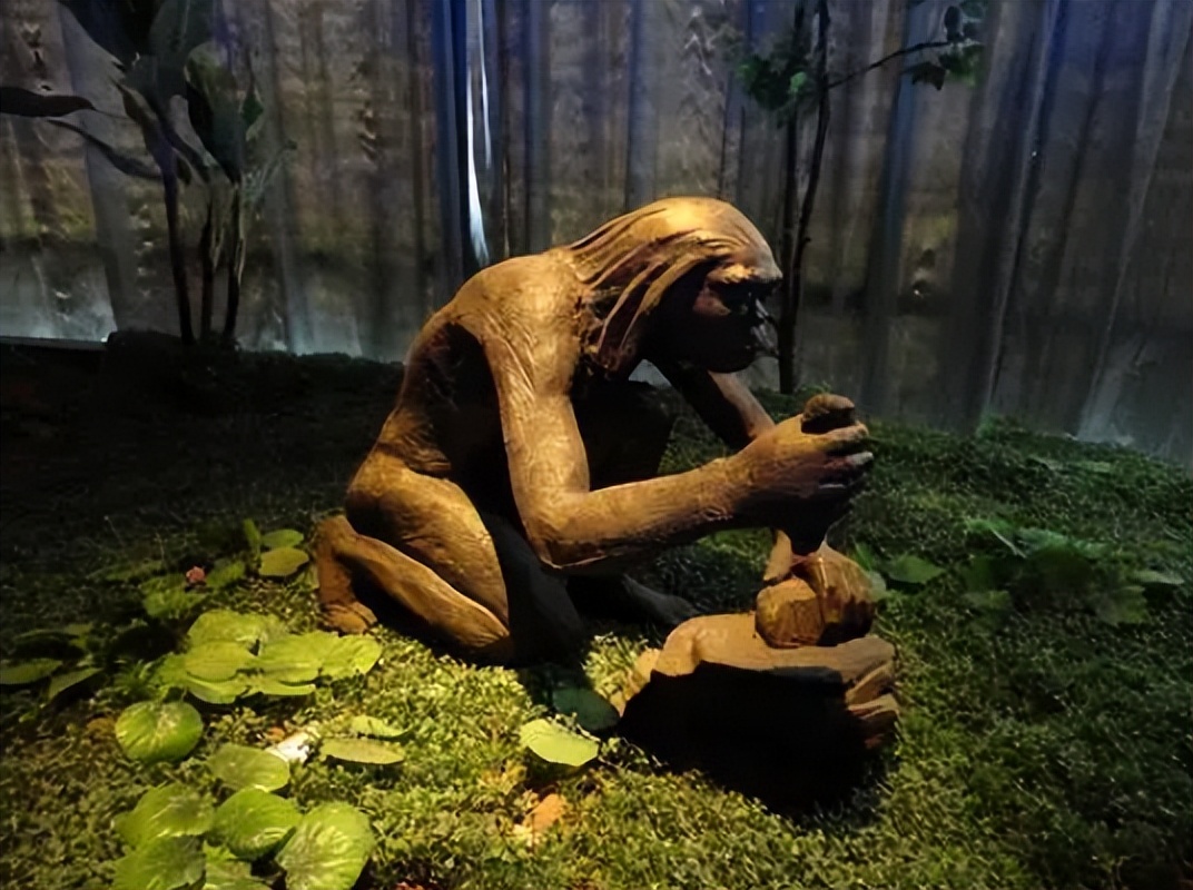 石器时代野人取火,锯竹取火钻木取火擦木取火