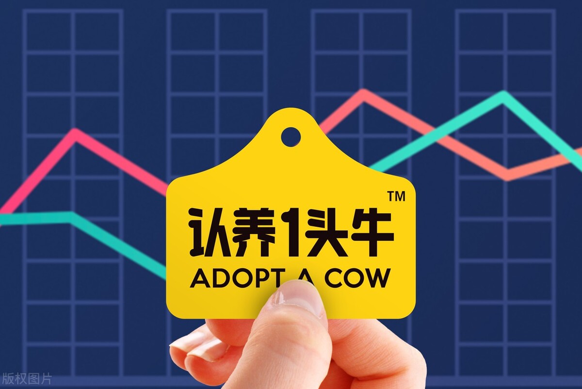 认养一头牛牛奶200毫升和250毫升,认养一头牛的纯牛奶是假的吗