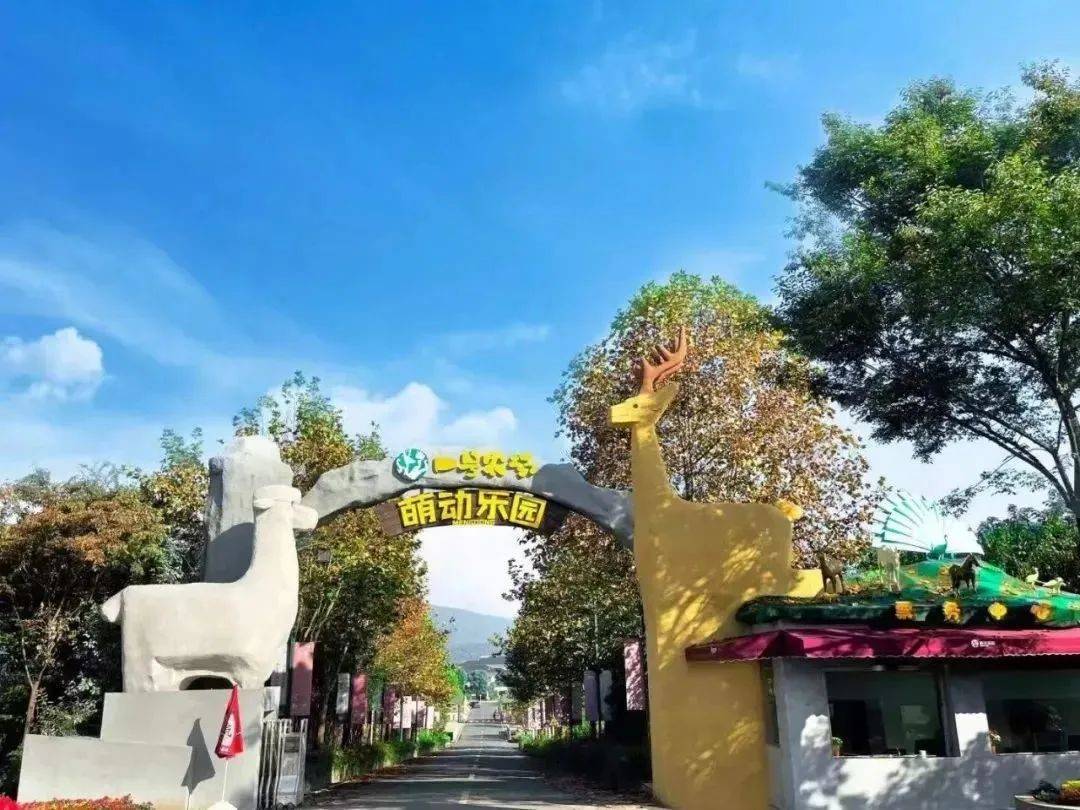 张家港农场网红打卡,周边农场网红打卡点创意