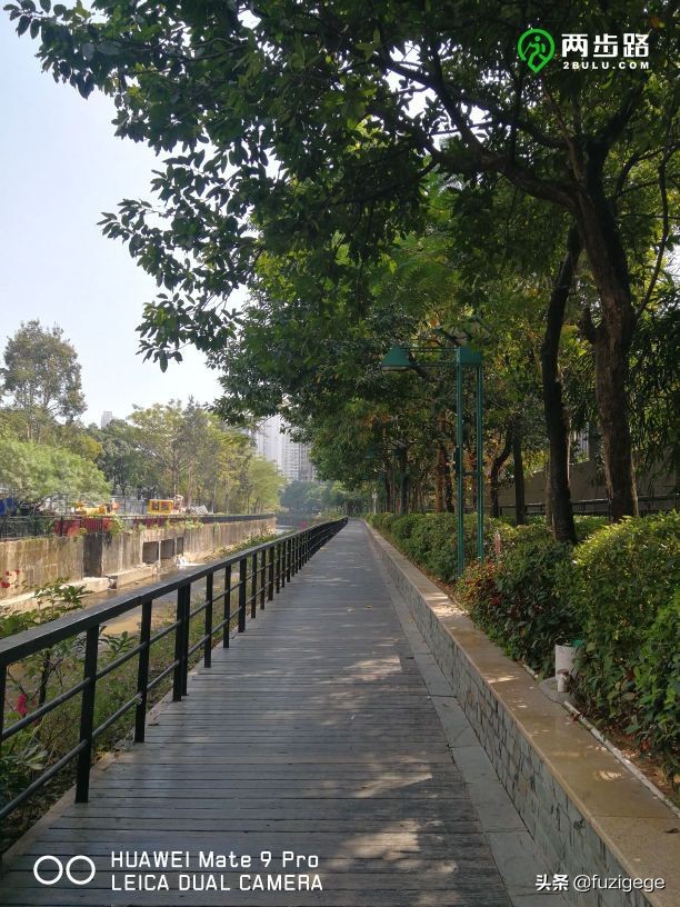 深圳徒步路线从梧桐山到盐田,深圳十峰大南山徒步最佳路线