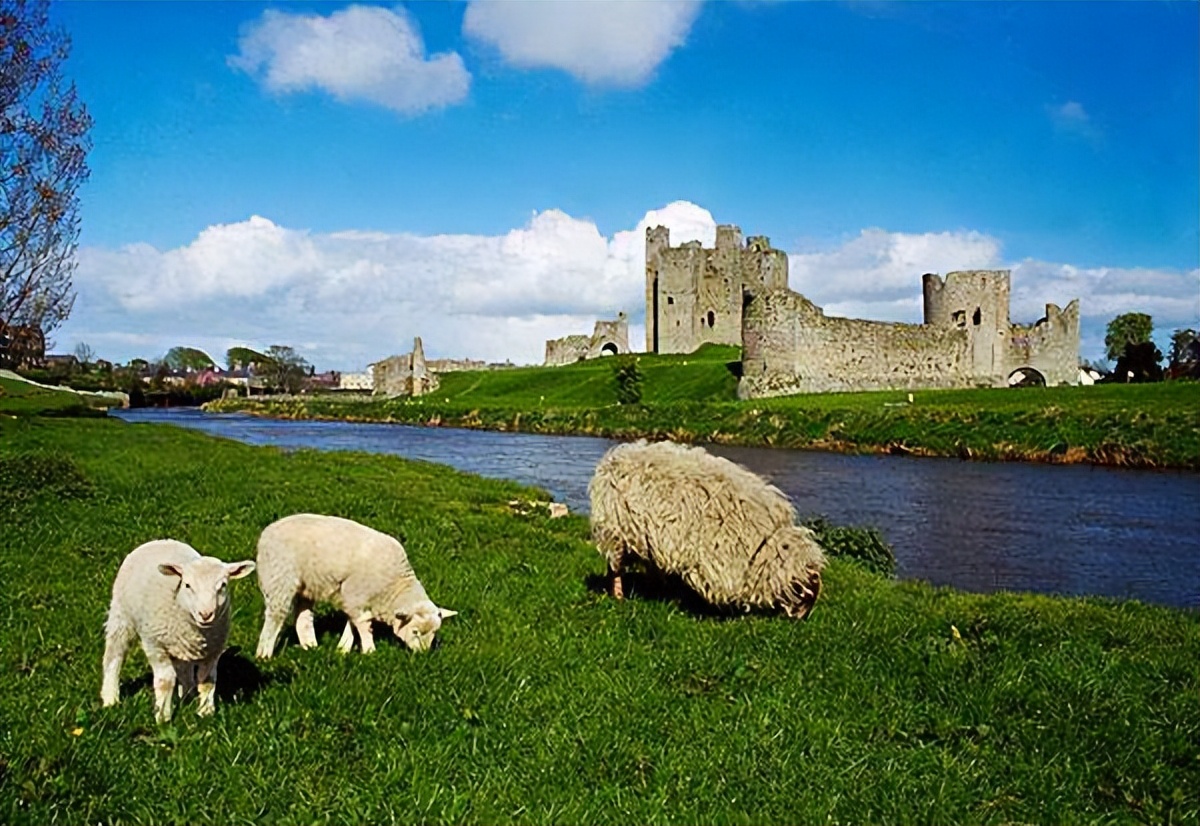 爱尔兰的诗人,爱尔兰吟唱