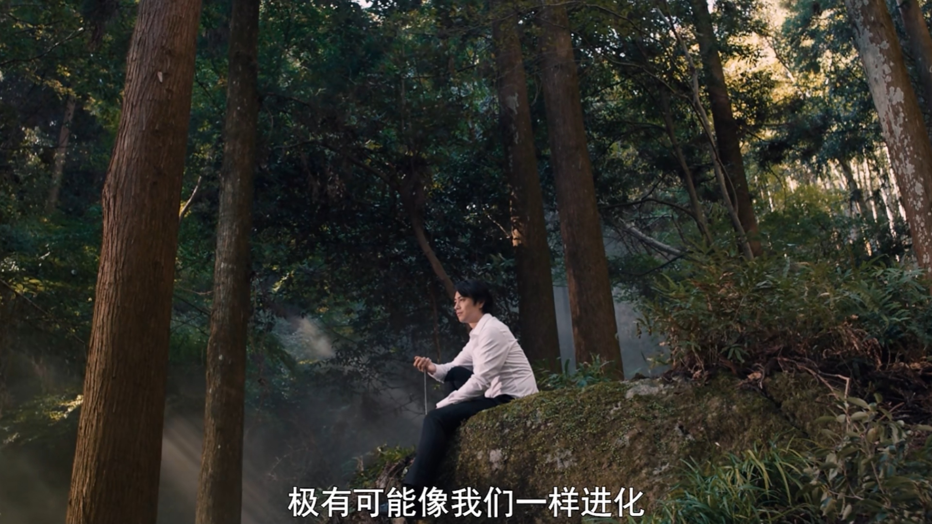 新奥特曼崛起,官方推出的新奥特曼