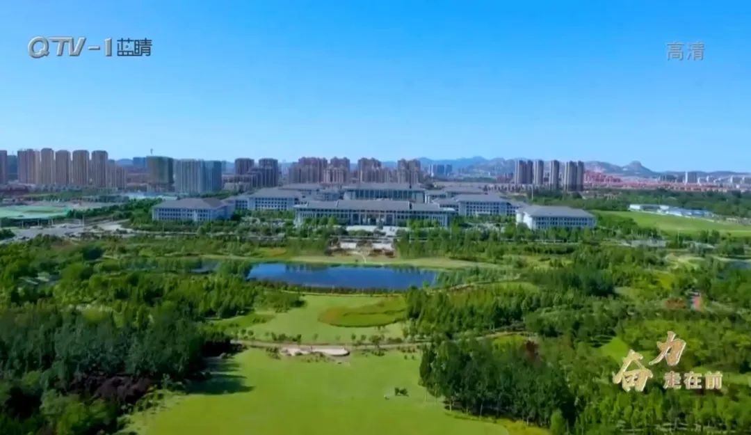 全国百强城市青岛,山东青岛进入百强区前十