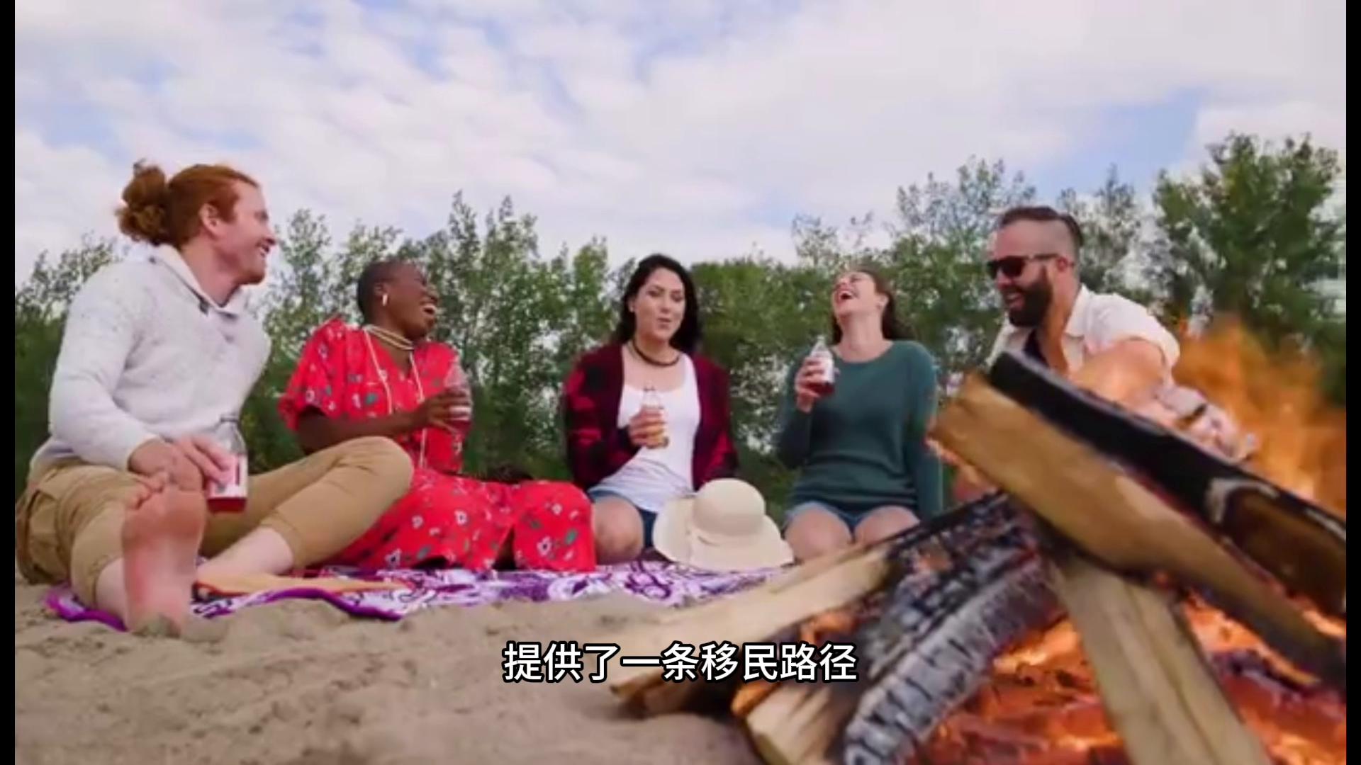 怎样办理技术移民,如何办理加拿大入籍