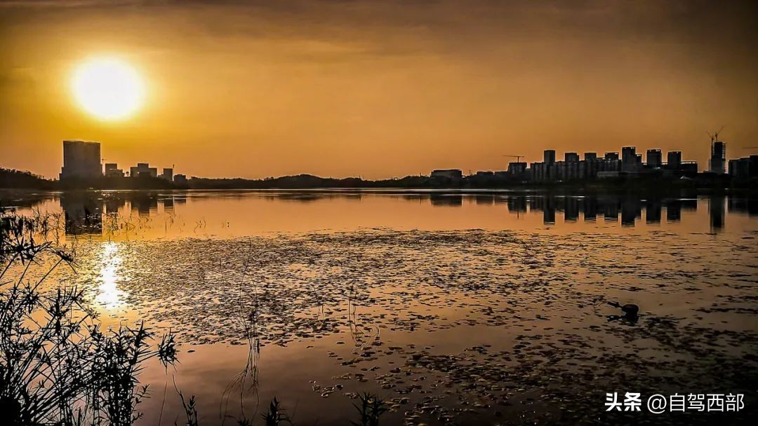 成都兴隆湖湿地公园在哪个区,成都桤木河湿地公园旅游攻略